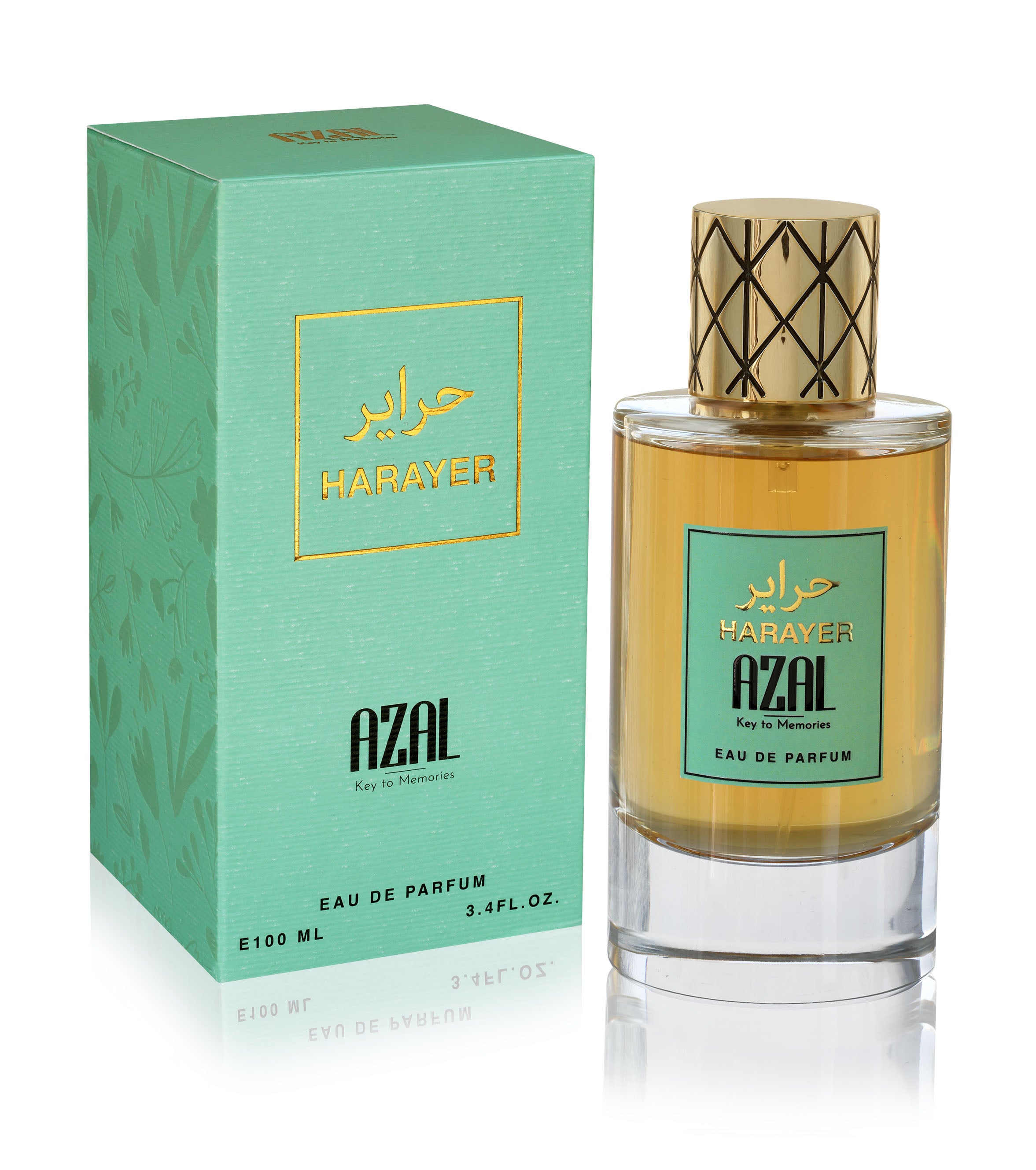 Black Friday Offer Bundle